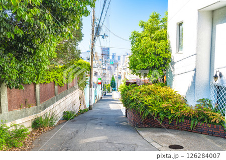 【重要伝統的建造物群保存地区】北野町山本通　坂道の上から見た市街地　兵庫県神戸市中央区 126284007