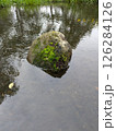水流に浮かぶ苔の付いた小さな石 126284126