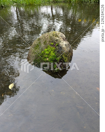 水流に浮かぶ苔の付いた小さな石 水流に浮かぶ苔の付いた小さな石 126284126
