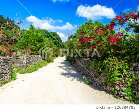 ブーゲンビリアの咲く竹富島（沖縄県竹富町） 126284783