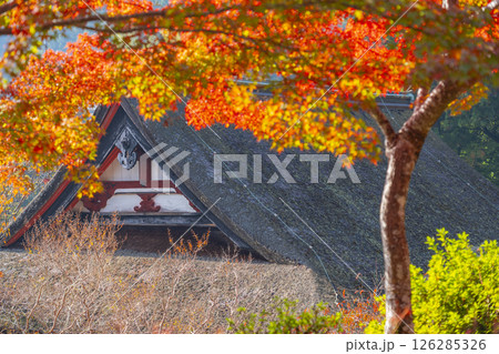 談山神社　紅葉に包まれた神廟拝所 126285326