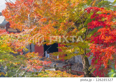 談山神社　紅葉に包まれた総社拝殿 126285327