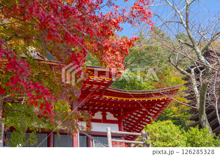 談山神社　紅葉に包まれた権殿 126285328