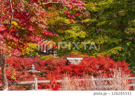 談山神社　紅葉に包まれた祓戸社 126285331