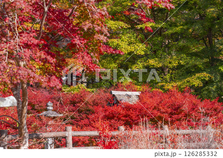 談山神社　紅葉に包まれた祓戸社 126285332