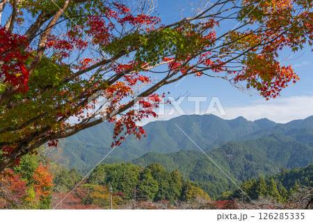 談山神社バス停付近からの素晴らしい眺め 色づく山々 談山神社バス停付近からの素晴らしい眺め 色づく山々 126285335