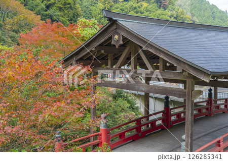 山神社　屋形橋（奈良県桜井市） 126285341