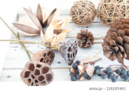 松ぼっくりとハス、ワイルドリリーなどの天然素材 松ぼっくりとハス、ワイルドリリーなどの天然素材 126285461