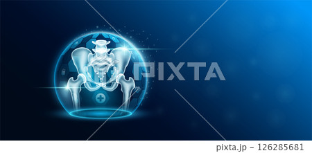 Pelvis bone joint human organ in transparent dome shield protection futuristic with medical icon. Technology innovation health care. Empty space for text. Medical science ads website banner. Vector. Pelvis bone joint human organ in transparent dome shield protection futuristic with medical icon. Technology innovation health care. Empty space for text. Medical science ads website banner. Vector. 126285681