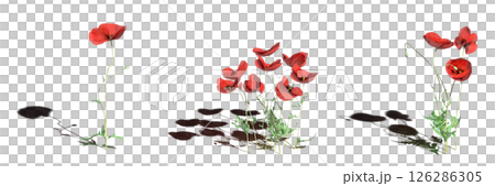 wild field grass with a shadow under it, isolated on a transparent background, 3D illustration, cg render 126286305
