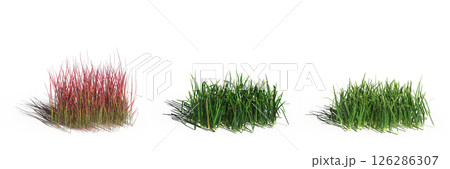 wild field grass with a shadow under it, isolated on a transparent background, 3D illustration, cg render 126286307