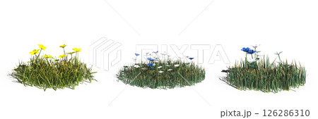 wild field grass with a shadow under it, isolated on a transparent background, 3D illustration, cg render wild field grass with a shadow under it, isolated on a transparent background, 3D illustration, cg render 126286310