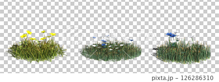 wild field grass with a shadow under it, isolated on a transparent background, 3D illustration, cg render wild field grass with a shadow under it, isolated on a transparent background, 3D illustration, cg render 126286310
