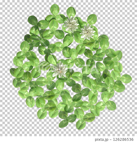 wild field grass, top view, isolated on a transparent background, 3D illustration, cg render 126286536