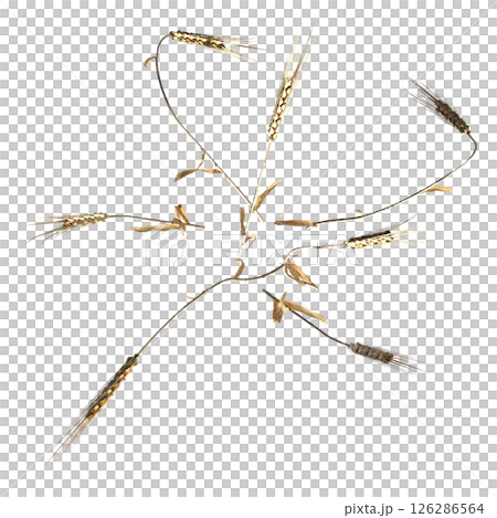 wild field grass, top view, isolated on a transparent background, 3D illustration, cg render 126286564