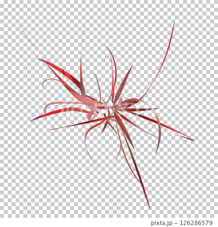 wild field grass, top view, isolated on a transparent background, 3D illustration, cg render wild field grass, top view, isolated on a transparent background, 3D illustration, cg render 126286579