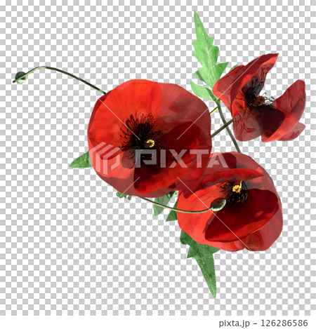 wild field grass, top view, isolated on a transparent background, 3D illustration, cg render wild field grass, top view, isolated on a transparent background, 3D illustration, cg render 126286586