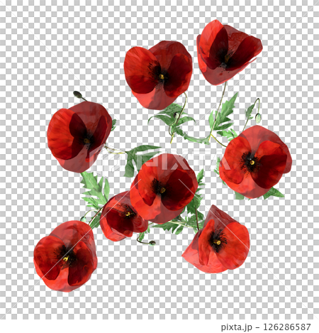 wild field grass, top view, isolated on a transparent background, 3D illustration, cg render wild field grass, top view, isolated on a transparent background, 3D illustration, cg render 126286587