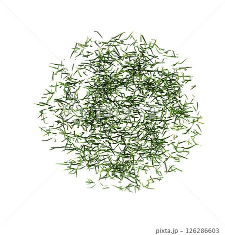 wild field grass, top view, isolated on a transparent background, 3D illustration, cg render 126286603