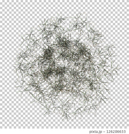 wild field grass, top view, isolated on a transparent background, 3D illustration, cg render 126286633