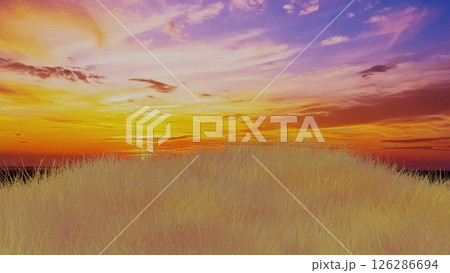 美しい朝焼け（夕焼け）と野原の3Dイラスト 126286694