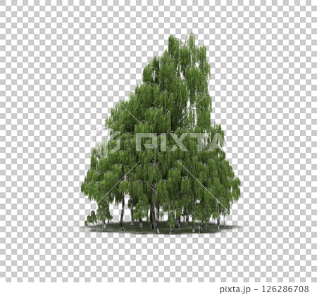 group of trees isolated on a transparent background, big trees in the forest, 3D illustration, cg render group of trees isolated on a transparent background, big trees in the forest, 3D illustration, cg render 126286708