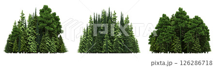 group of trees isolated on a transparent background, big trees in the forest, 3D illustration, cg render 126286718