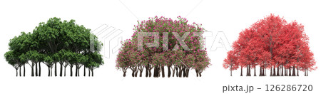 group of trees isolated on a transparent background, big trees in the forest, 3D illustration, cg render 126286720