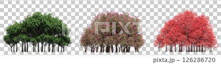 group of trees isolated on a transparent background, big trees in the forest, 3D illustration, cg render 126286720