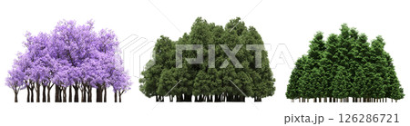 group of trees isolated on a transparent background, big trees in the forest, 3D illustration, cg render group of trees isolated on a transparent background, big trees in the forest, 3D illustration, cg render 126286721