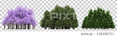 group of trees isolated on a transparent background, big trees in the forest, 3D illustration, cg render 126286721