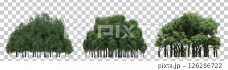 group of trees isolated on a transparent background, big trees in the forest, 3D illustration, cg render 126286722