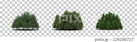 group of trees isolated on a transparent background, big trees in the forest, 3D illustration, cg render group of trees isolated on a transparent background, big trees in the forest, 3D illustration, cg render 126286727