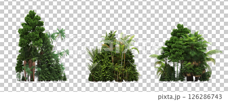 group of trees isolated on a transparent background, big trees in the forest, 3D illustration, cg render 126286743