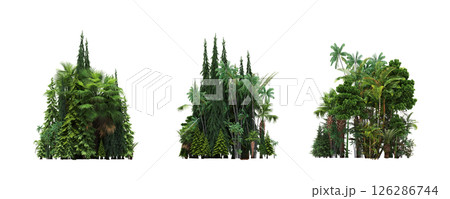 group of trees isolated on a transparent background, big trees in the forest, 3D illustration, cg render 126286744