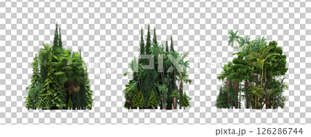 group of trees isolated on a transparent background, big trees in the forest, 3D illustration, cg render 126286744