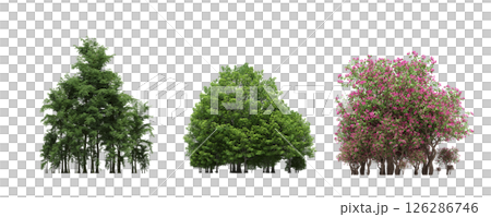 group of trees isolated on a transparent background, big trees in the forest, 3D illustration, cg render group of trees isolated on a transparent background, big trees in the forest, 3D illustration, cg render 126286746