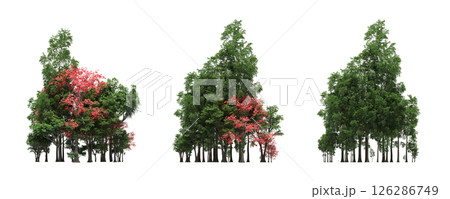 group of trees isolated on a transparent background, big trees in the forest, 3D illustration, cg render 126286749