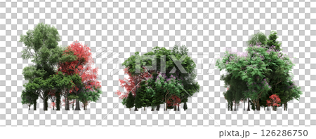 group of trees isolated on a transparent background, big trees in the forest, 3D illustration, cg render 126286750