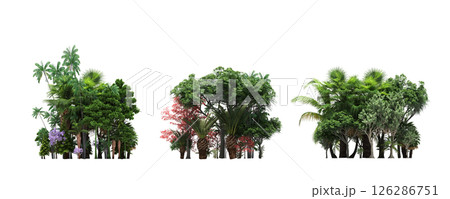 group of trees isolated on a transparent background, big trees in the forest, 3D illustration, cg render 126286751