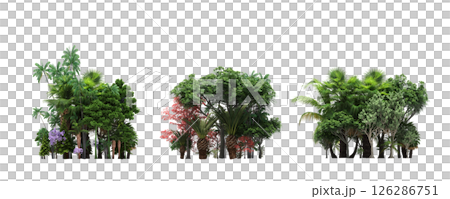 group of trees isolated on a transparent background, big trees in the forest, 3D illustration, cg render group of trees isolated on a transparent background, big trees in the forest, 3D illustration, cg render 126286751