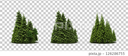 group of trees isolated on a transparent background, big trees in the forest, 3D illustration, cg render 126286755