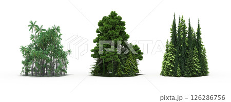 group of trees isolated on a transparent background, big trees in the forest, 3D illustration, cg render group of trees isolated on a transparent background, big trees in the forest, 3D illustration, cg render 126286756