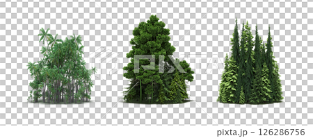 group of trees isolated on a transparent background, big trees in the forest, 3D illustration, cg render 126286756