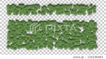 group of trees isolated on a transparent background, big trees in the forest, 3D illustration, cg render 126286865