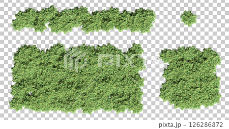 group of trees isolated on a transparent background, big trees in the forest, 3D illustration, cg render group of trees isolated on a transparent background, big trees in the forest, 3D illustration, cg render 126286872
