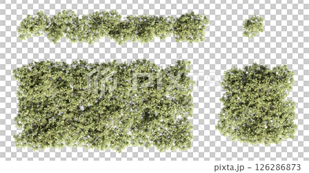 group of trees isolated on a transparent background, big trees in the forest, 3D illustration, cg render group of trees isolated on a transparent background, big trees in the forest, 3D illustration, cg render 126286873