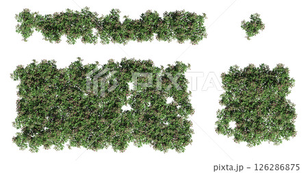 group of trees isolated on a transparent background, big trees in the forest, 3D illustration, cg render group of trees isolated on a transparent background, big trees in the forest, 3D illustration, cg render 126286875