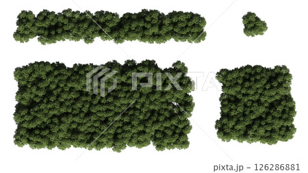 group of trees isolated on a transparent background, big trees in the forest, 3D illustration, cg render group of trees isolated on a transparent background, big trees in the forest, 3D illustration, cg render 126286881