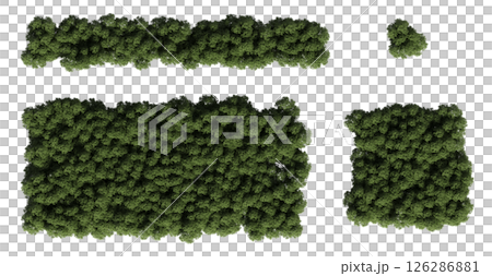 group of trees isolated on a transparent background, big trees in the forest, 3D illustration, cg render group of trees isolated on a transparent background, big trees in the forest, 3D illustration, cg render 126286881